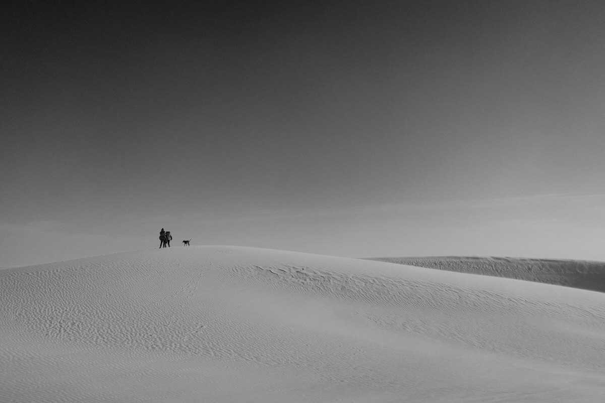 couple with their dog on the top of a sand dune